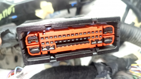Ford Mustang Mach-E 21-23 Engine Bay Wiring