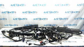 Ford Mustang Mach-E 21-23 Engine Bay Wiring