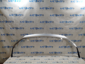 Front Bumper Lip Central Lexus RX350 RX450h 20-22 Silver