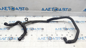Ford Mustang Mach-E 21-23 Coolant System Hose