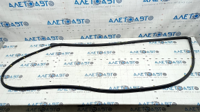 Front right door seal Hyundai Sonata 20-22