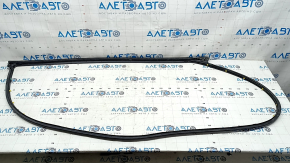 Front right door seal Hyundai Sonata 20-22