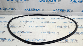 Ford Mustang Mach-E 21-23 Hood Seal