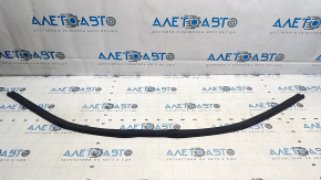 Ford Mustang Mach-E 21-23 Hood Seal