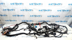 Tesla Model Y 20-25 Underhood Wiring