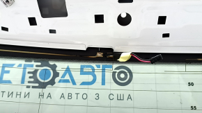 Audi Q5 80A 21-24 Tinted White Tailgate with Glass (LY9C)