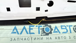 Audi Q5 80A 21-24 Tinted White Tailgate with Glass (LY9C)