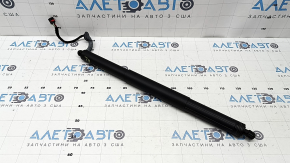 Shock absorber trunk door left Audi Q5 80A 21-22 electric