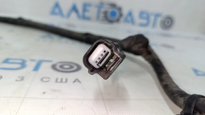 Ford Edge 15-24 TV wiring for blinds and hood lock sensor