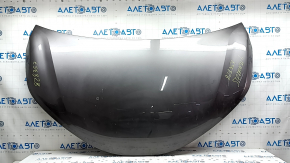 Toyota Sienna 21-24 aluminum hood, graphite 1H1