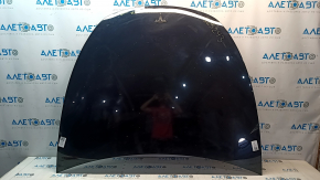 Hood bare Tesla Model Y 20-25 black PBSB, aluminum