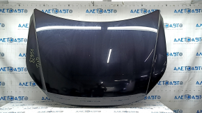 VW Tiguan 2009-2018 bare hood, steel, black LC9X