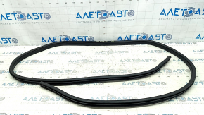 Rear right door seal for Nissan Rogue 21-24 US built