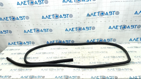 Front left door seal for Nissan Rogue 21-24 US built