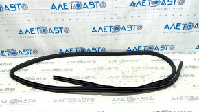 Front left door seal for Nissan Rogue 21-24 US built