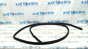 Front right door seal for Nissan Rogue 21-24 US built
