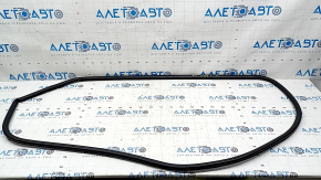 Lexus ES300h ES350 13-18 front left door seal worn