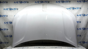 Chevrolet Equinox 18-24 Steel White Hood (WA8624)