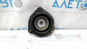 Nissan Murano Z52 15-24 Front Right Shock Absorber Mount with Bearing