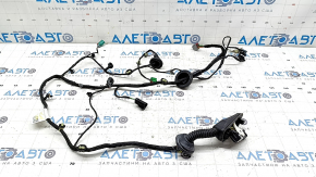 Chevrolet Equinox 18-24 front right door wiring for keyless entry