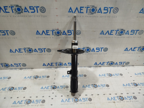 Shock absorber rear left Toyota Camry v55 15-17 usa SE