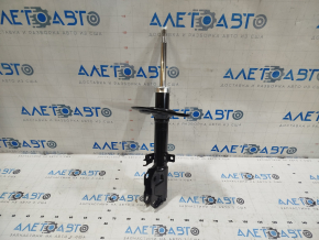 Shock absorber rear left Toyota Camry v55 15-17 usa SE