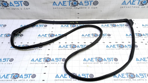 Toyota Prius 50 16-22 rear left door seal