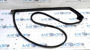 Toyota Prius 50 16-22 rear left door seal