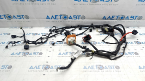 Polestar 2 21-25 Front Electric Motor Wiring