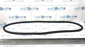 Kia Niro 23-24 trunk door rubber seal scratches