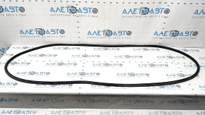 Door seal rear right BMW X3 G01 18-21