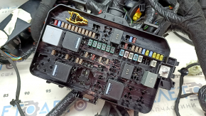 Polestar 2 21-25 Interior Wiring with Fuse Box