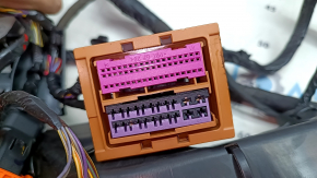 Polestar 2 21-25 Interior Wiring with Fuse Box