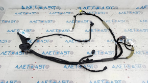 Honda Accord 23-24 front left door wiring for keyless entry