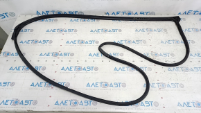 Front left door seal Honda Accord 23-