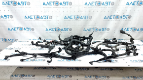 Toyota Rav4 22-25 Hybrid Engine Wiring