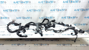 Toyota Rav4 22-25 Hybrid Engine Wiring