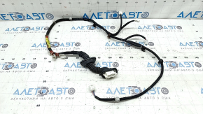 Lexus CT200h 11-17 rear left door wiring