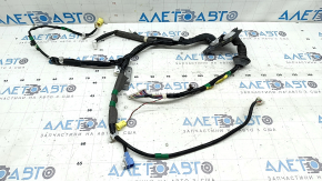 Lexus CT200h 11-13 Front Left Door Wiring