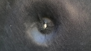 Chevrolet Volt 16 hood insulation - tear