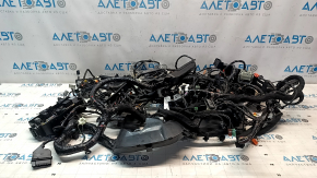 Polestar 2 21-25 Interior Wiring with Fuse Box