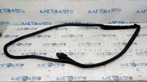 The front left door seal of the Audi A5 F5 17-24 5D is torn.
