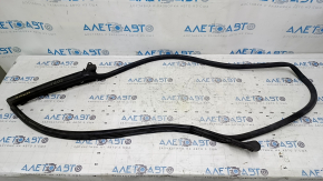 The front left door seal of the Audi A5 F5 17-24 5D is torn.