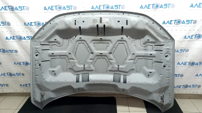 Naked hood for Ford Bronco Sport 2021-2025, aluminum, gray NE, chips