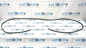 Audi Q8 19-25 panoramic window seal