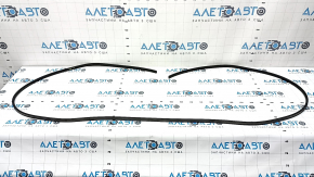 Audi Q8 19-25 panoramic window seal