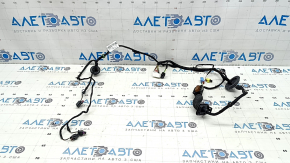 Audi Q8 19-25 front right door wiring