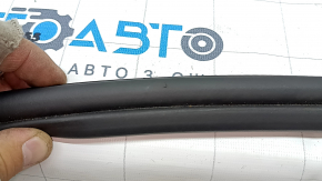 Audi Q8 19-25 trunk door rubber seal scratches