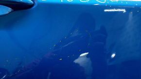 Jeep Compass 17-24 right rear door assembly, blue PBJ, scratches