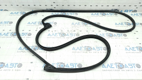 Honda CRV 23-25 front right door seal, fasteners torn